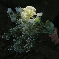 人生地不熟713