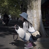 豆芽133