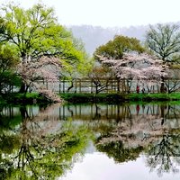 神与物游129