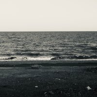 胡萝卜特卡