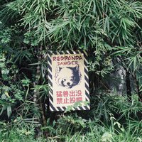 Mr_柯林