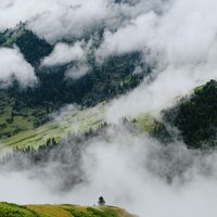 不会法术的徐法师