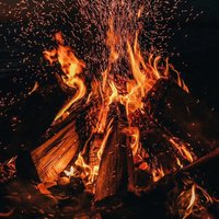白桦林薪火