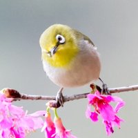 朝晖视角