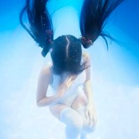 凭魚曰