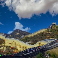 章无忌