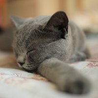 明镜止水633