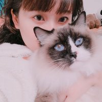 一口流心芝士