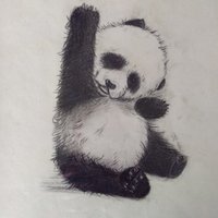 冬虎
