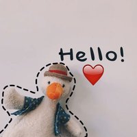 PETR¹L