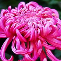 春天彩虹