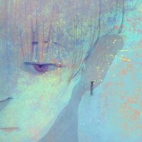 贺舟