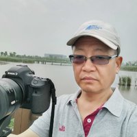 摄影师157857159070742