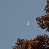 橘子溜溜橘