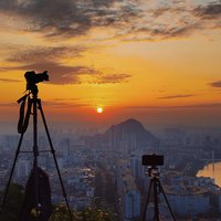 仙人掌吖