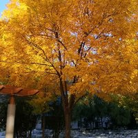 日历的点滴