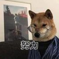 SpareNoEffort