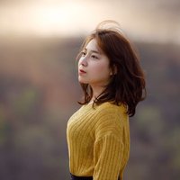 小鱼森林