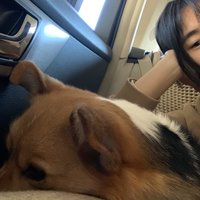 幺洞贰叁