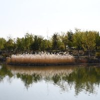 天野941