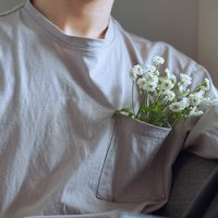 凉仄