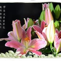 摄影师157999259214552