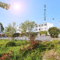 时光旅人宁宁