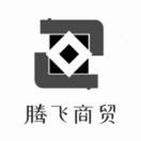 腾飞理想
