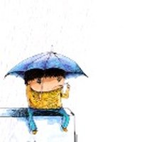 牛奶树