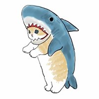 大冬冬呀