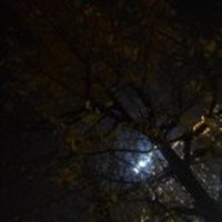 关东丨野客