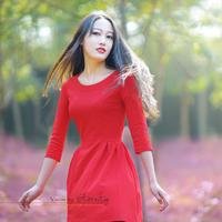 盈谷指南