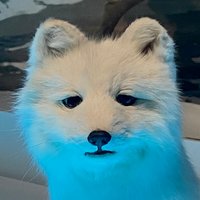 火锅店里的狗