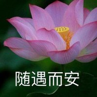 爱摄影的小鹏