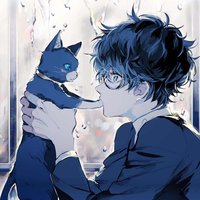柠檬养乐猫