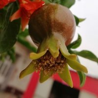春风十里G