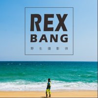 Rex-Bang
