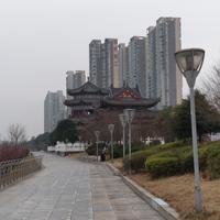 京都9