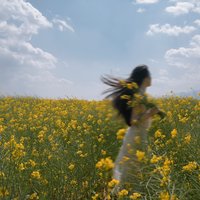 薄眸杍-