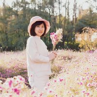 四叶草的浪漫时光