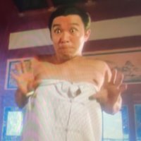撸猫弄狗