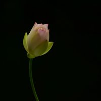 张长弓853