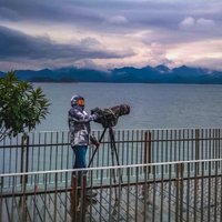 卓悦生辉