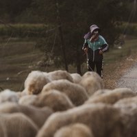歸绥地理