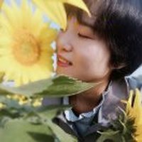 雨打芭蕉534