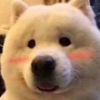 吃苏打饼干的果冻