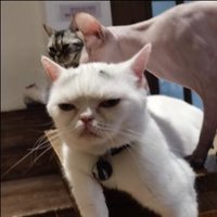 瞌睡状态中