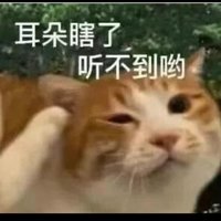 一个人的wuli