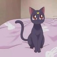 黑夜星辰865
