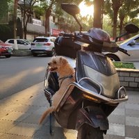 以巴
